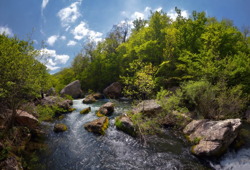 крым, природа, весна, река На реке Черной фото превью