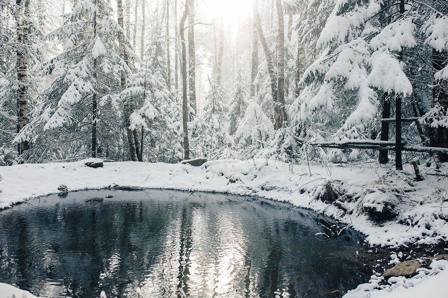 лес, зима, снег, природа. пейзаж, пруд, урал, златоуст, Евгений Толкачёв