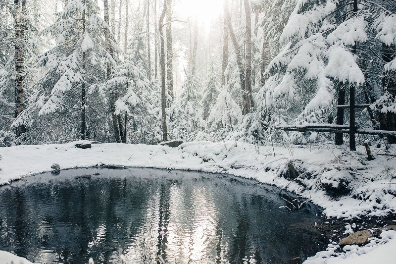 лес, зима, снег, природа. пейзаж, пруд, урал, златоуст  фото превью