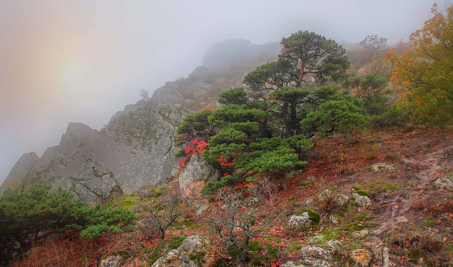 осень,пейзаж,горы,лес,природа,дагестан., Marat Magov
