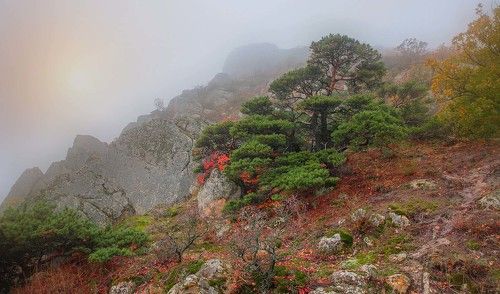 Горный пейзаж..