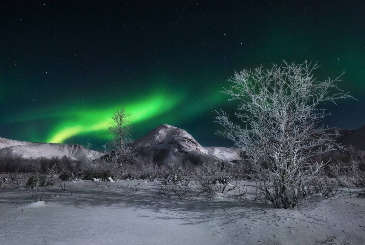 кольский, Андрей Грачев