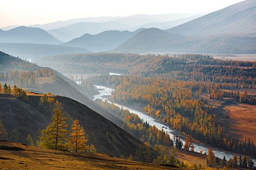 В долине Аргута.