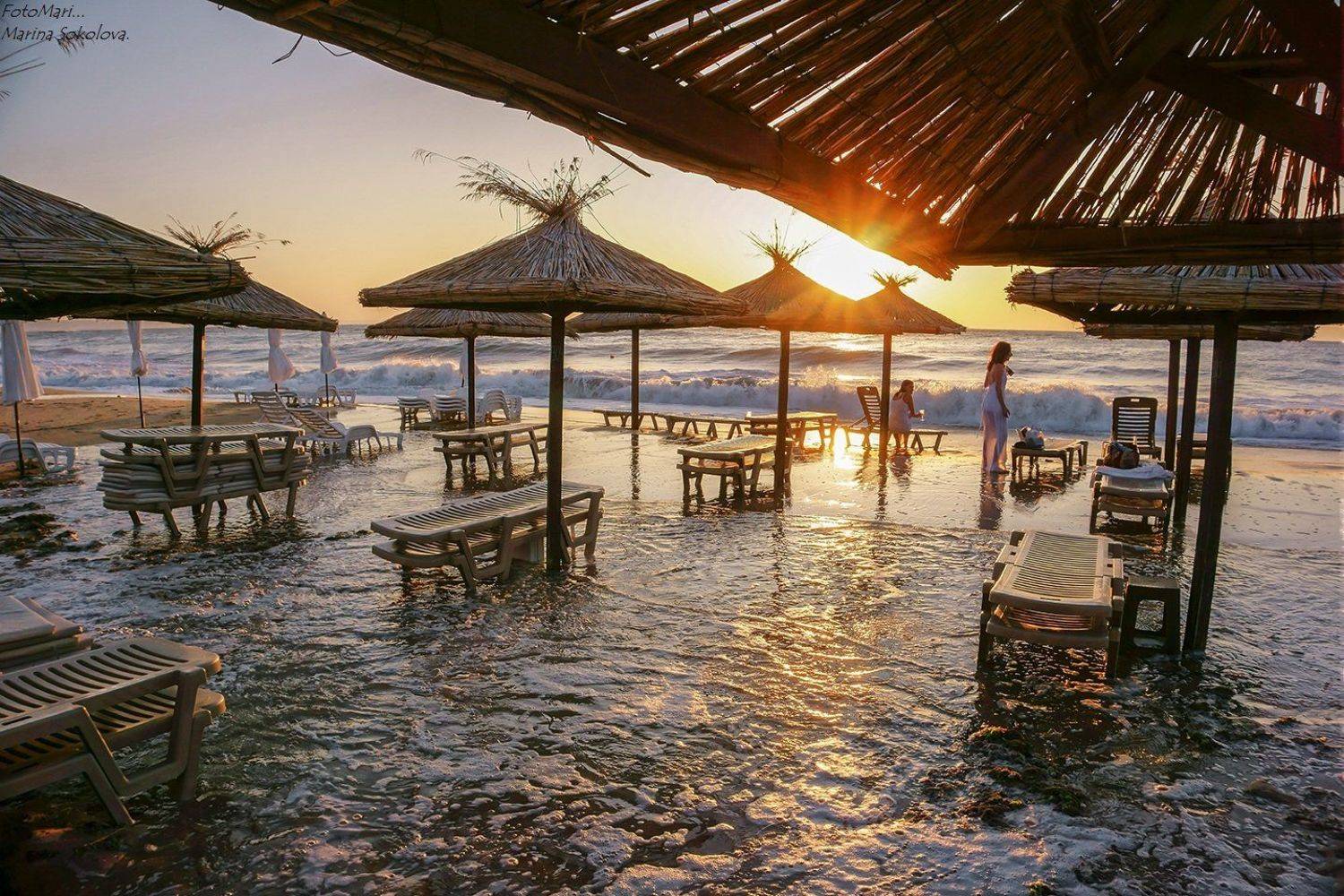 , Марина Соколова