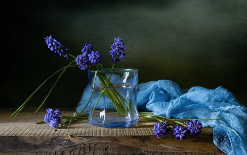 Весенние первоцветы