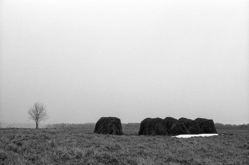 severe serenity фото превью