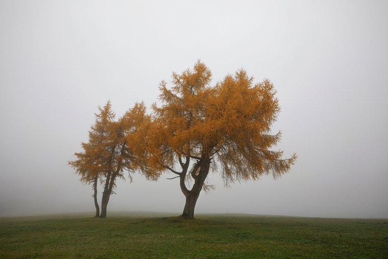 mountains, dolomites, italy, sunrise, landscape, nature, travel, autumn, trees, fog BROTHERS фото превью