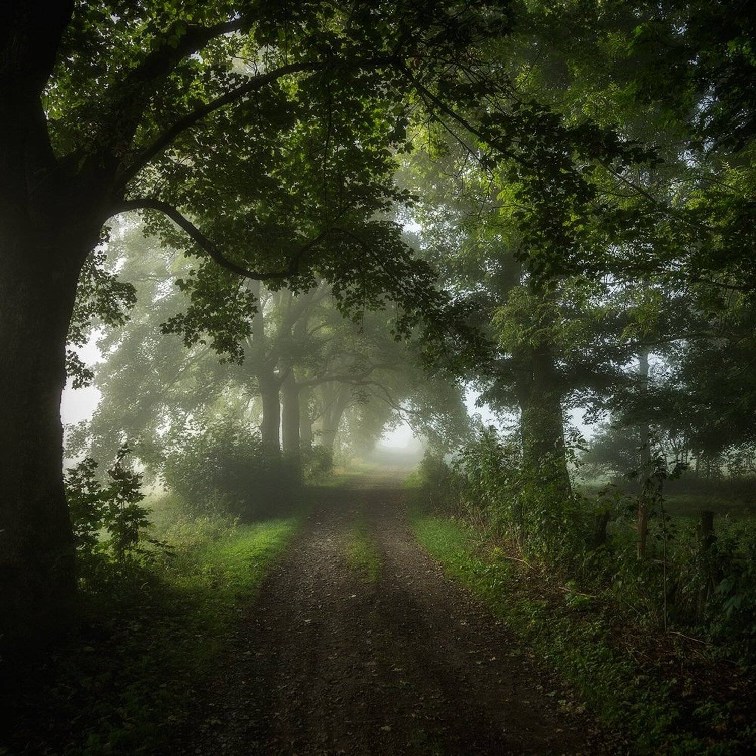 landscape,canon,mist,light,autumn, Iza i Darek Mitręga