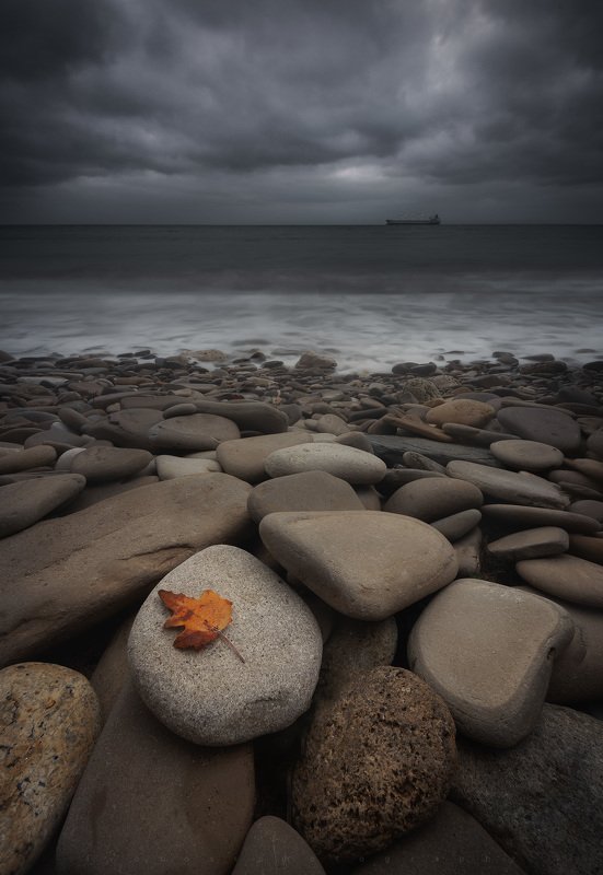 Season Definition фото превью