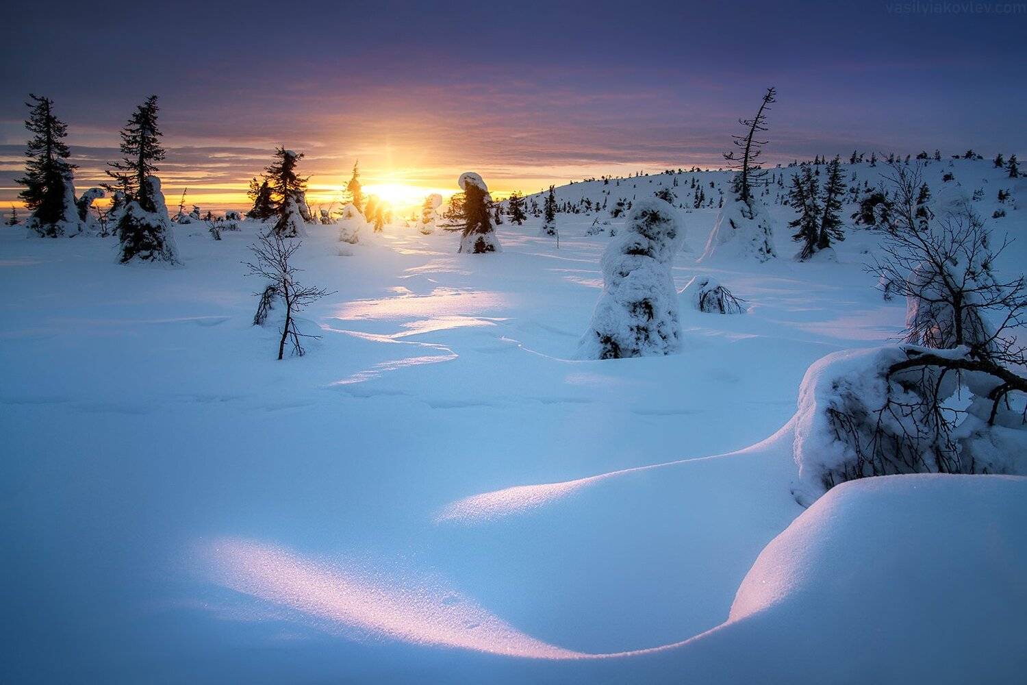 лапландия, финляндия, Василий Яковлев