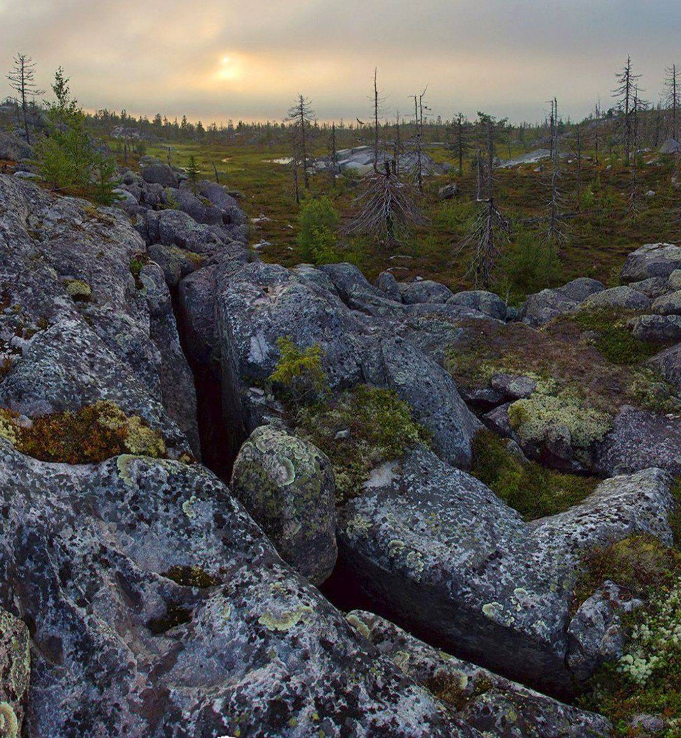 , Петр Косых