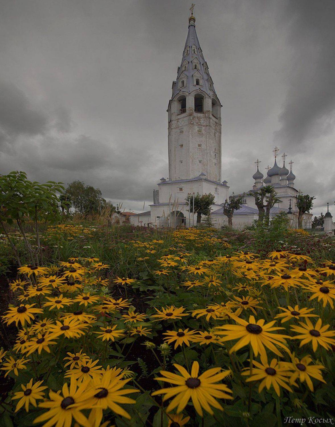 , Петр Косых