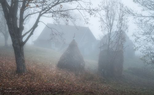 Шёпот осени...