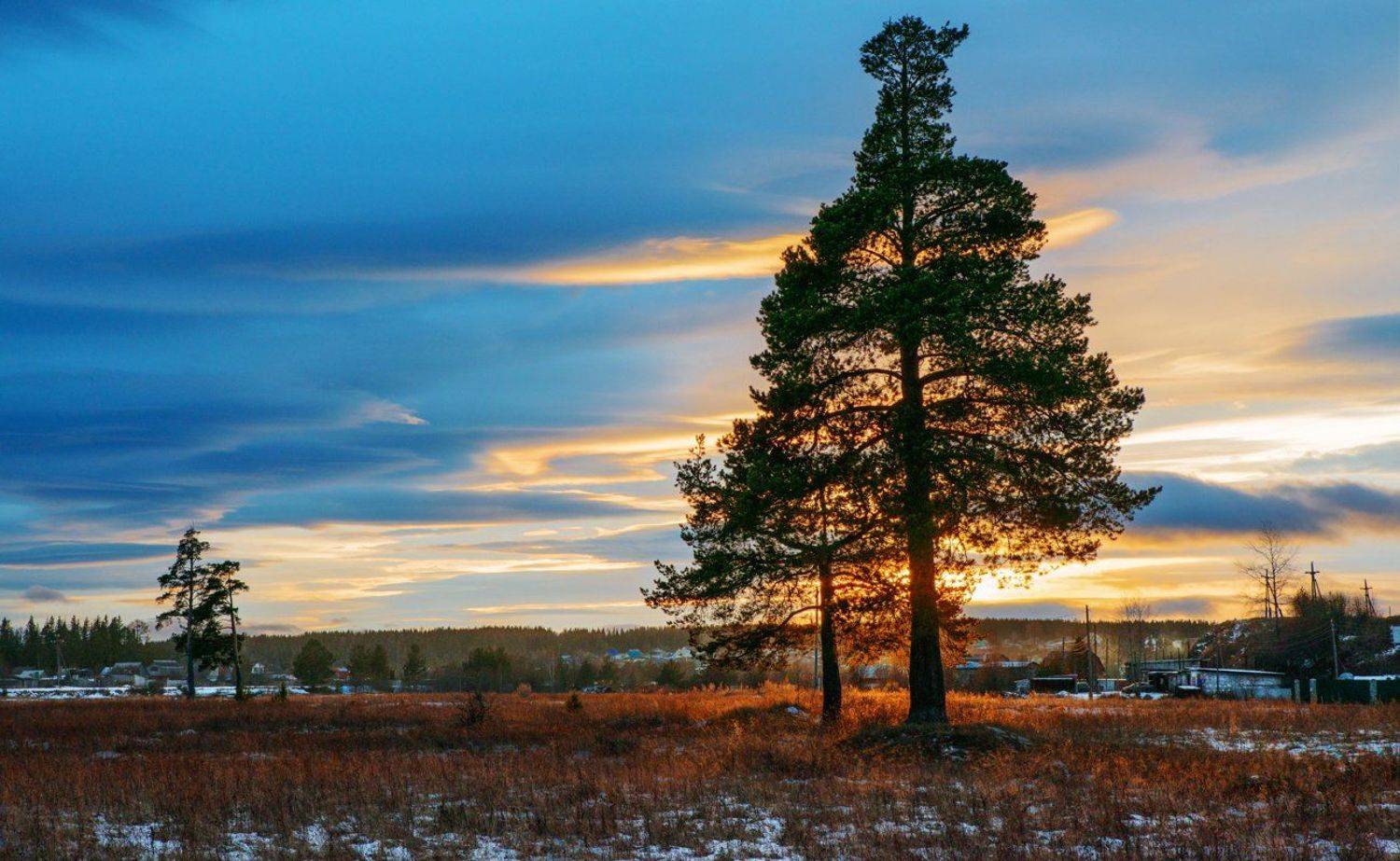 , Воинков Виктор