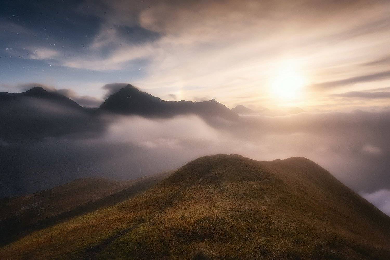 , Tania Leschinskaya