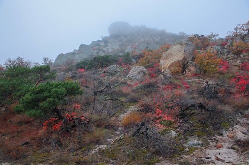Осенние мотивы..