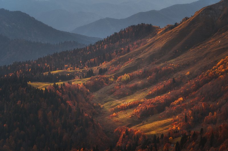 autumn, mountainside, гора, осень, сочи, горный хребет, пейзаж Осень на склоне горы фото превью