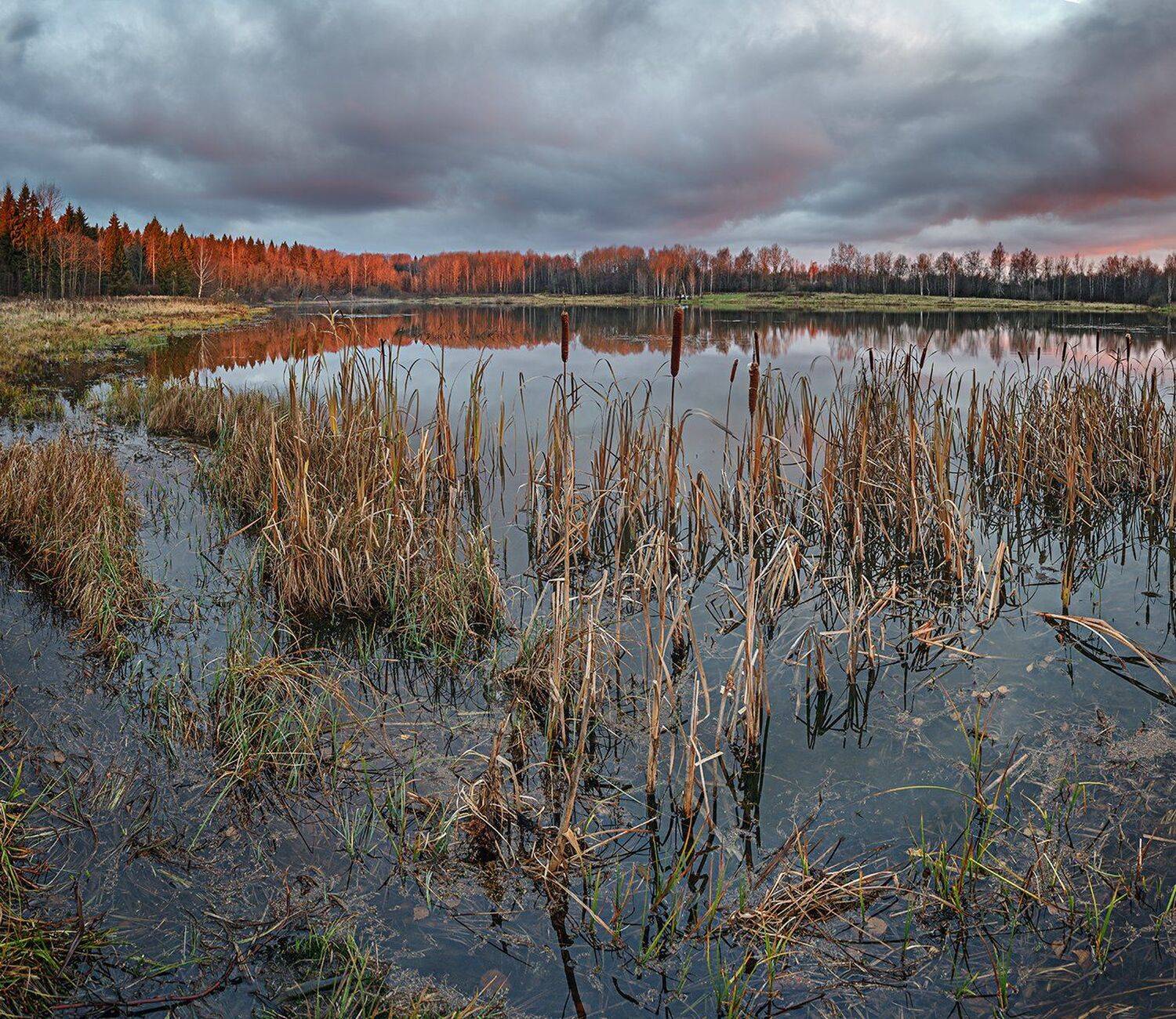 , Николай Андреев