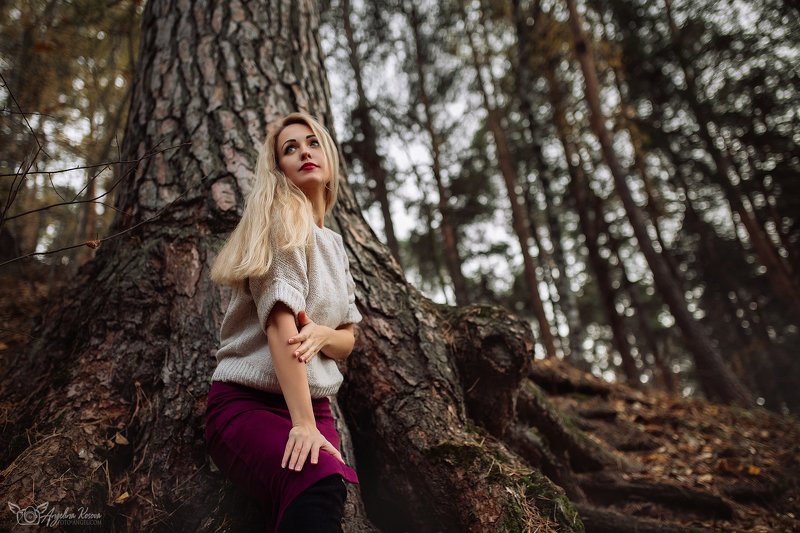 девушка, блондинка, губы, волосы, сосна, корни, лес, дерево, боке,  фото превью