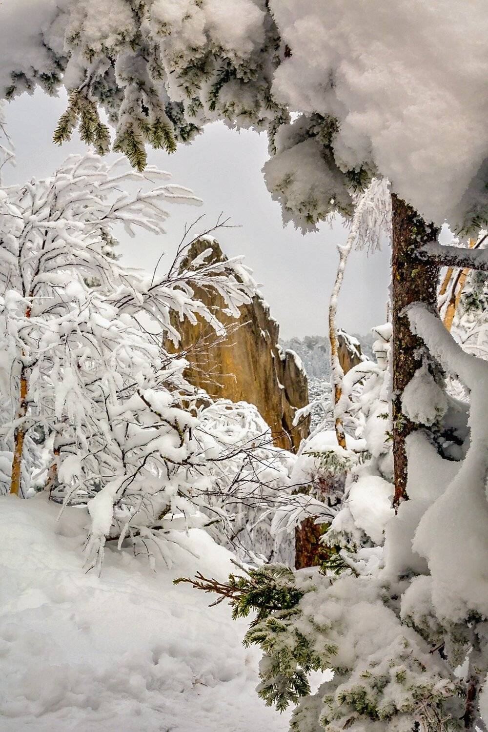 южный урал, Сергей Евдокимов