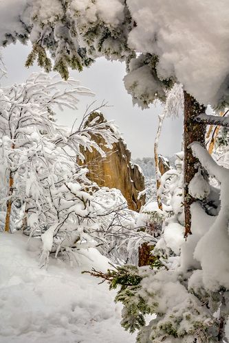 Зимний пейзаж