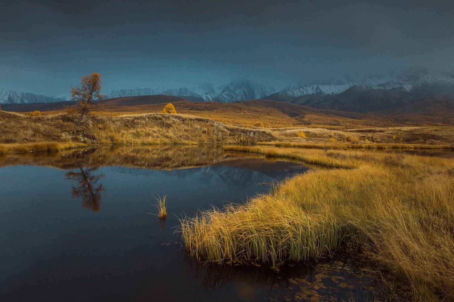 алтай, осень, золотая осень, горы, пейзаж, вечер, Алексей Новиков