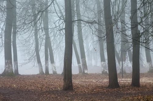 Белый танец