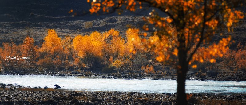 autumn, colors, leaves, bokeh, landscape, river, кавказ, природа, путешествия, пейзаж Late autumn фото превью