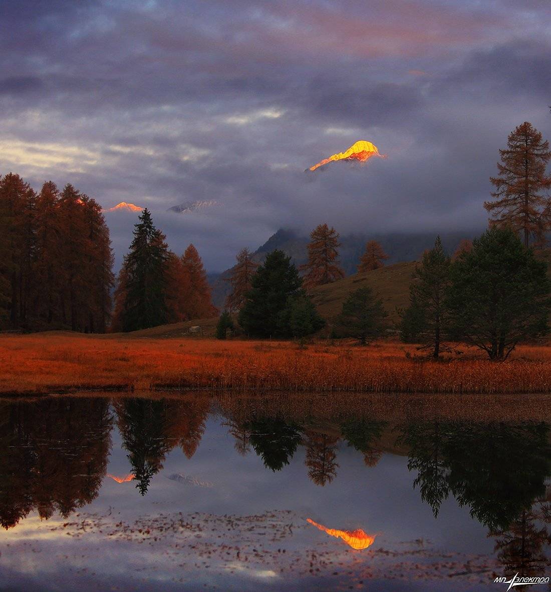 swiss, Матвеев Николай