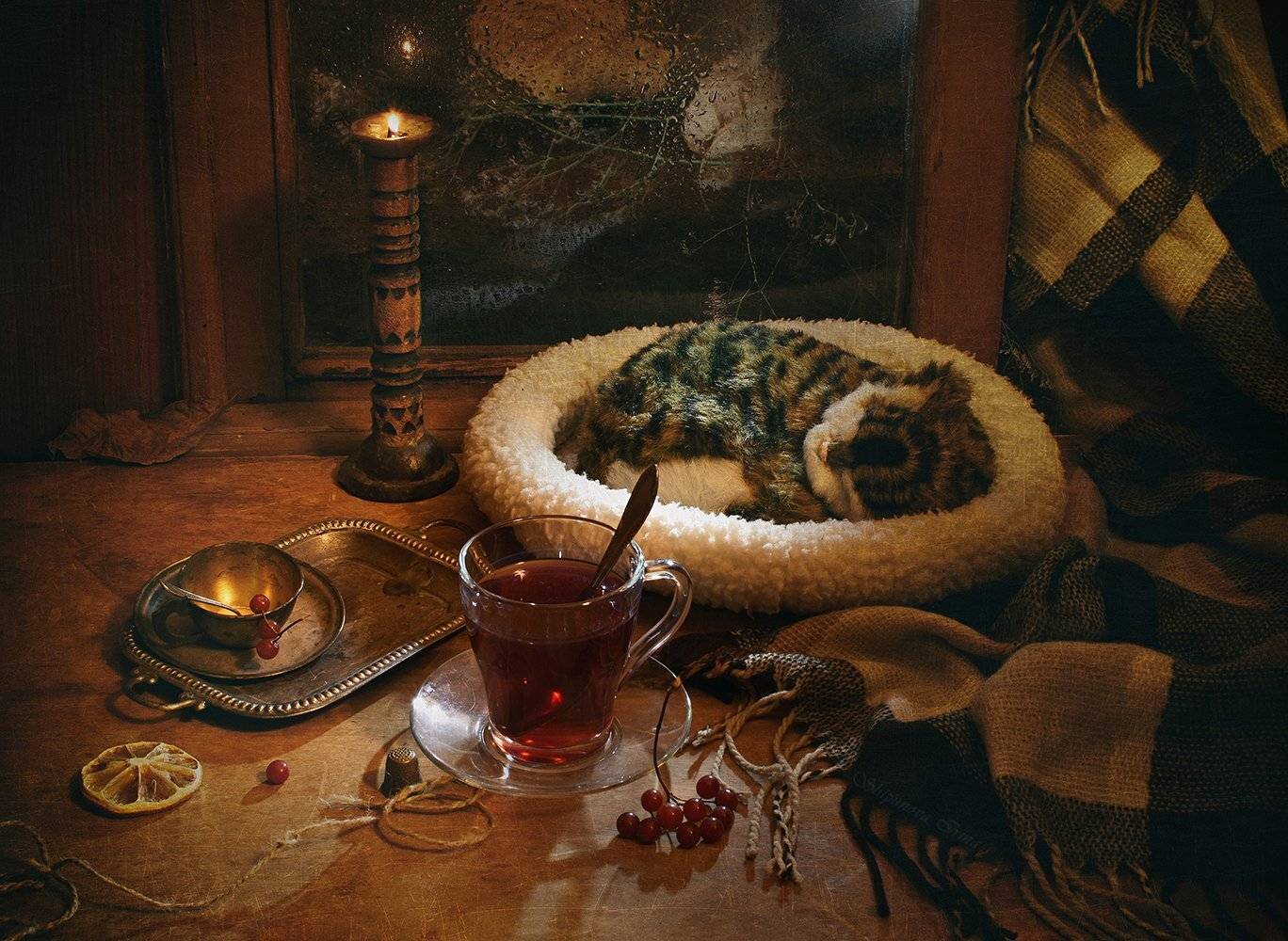 , Шипунова Ирина