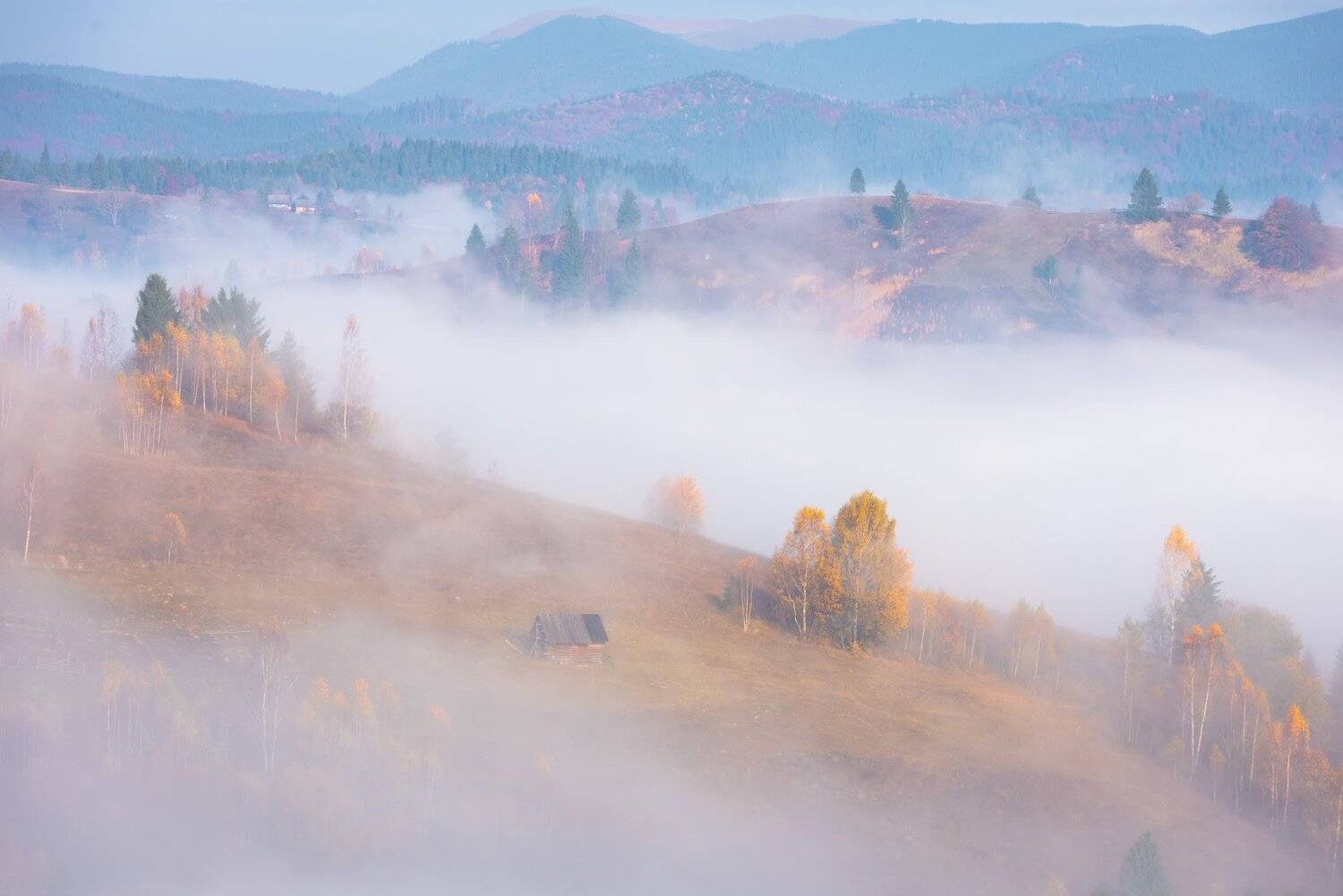 карпаты. осень. туман. рассвет, Татьяна Степанова