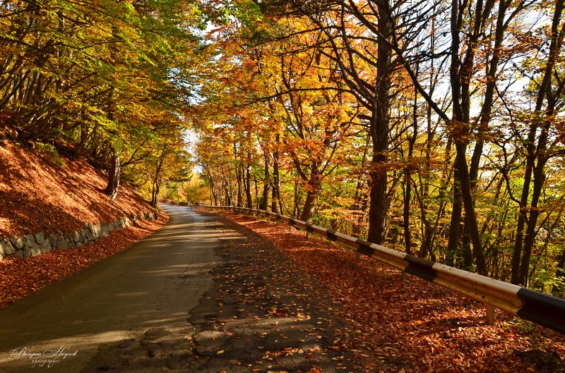 осень, крым, горы, дорога Дорога в Осень фото превью