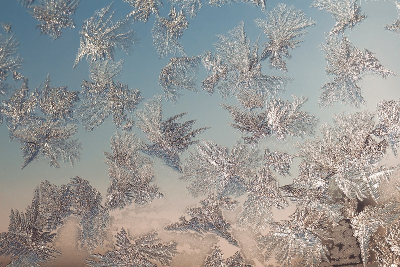 узоры, паттерны, зима Птички (узоры на стекле) фото превью