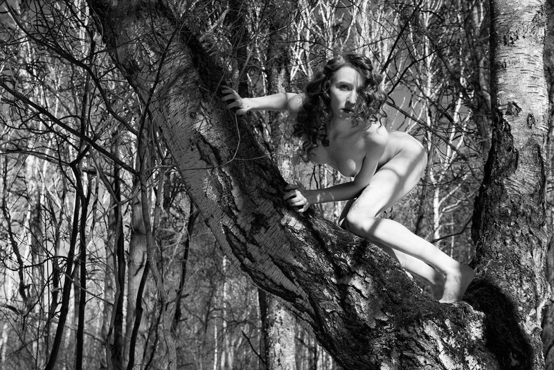 girl, woman, арт, женщина, nude, ню, девушка, модель, model, art Хищник | Predator фото превью