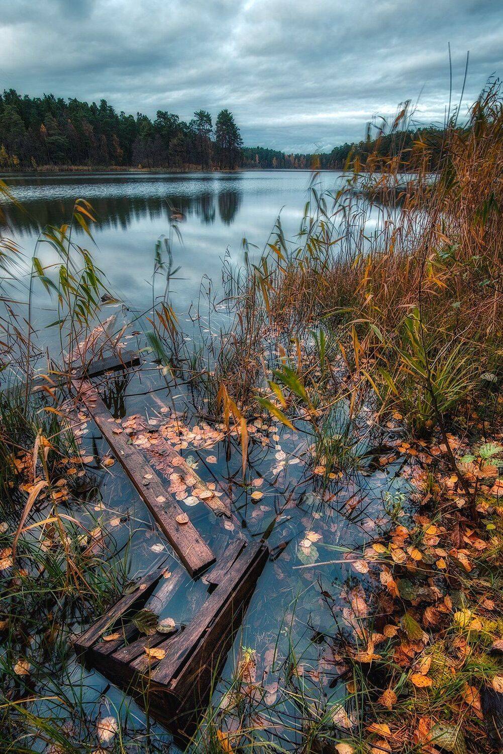 , Федотов Антон