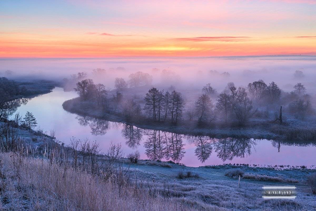 , Андрей Cоколов