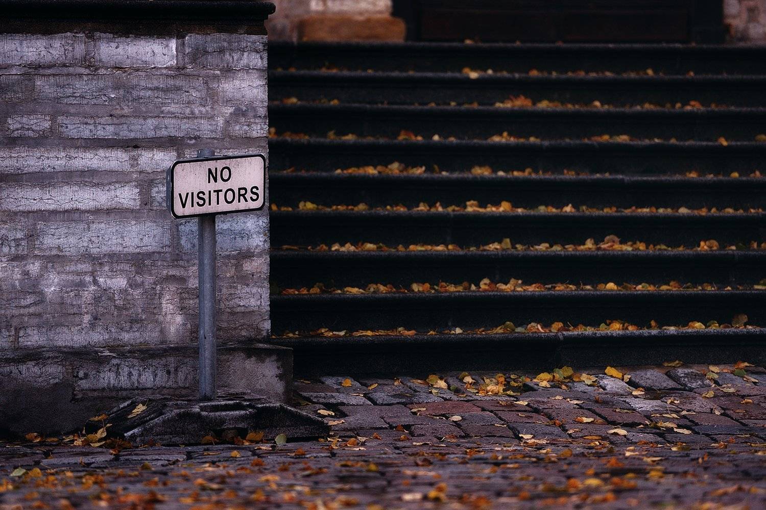 город, осень, ступени, Вьюшкин Игорь