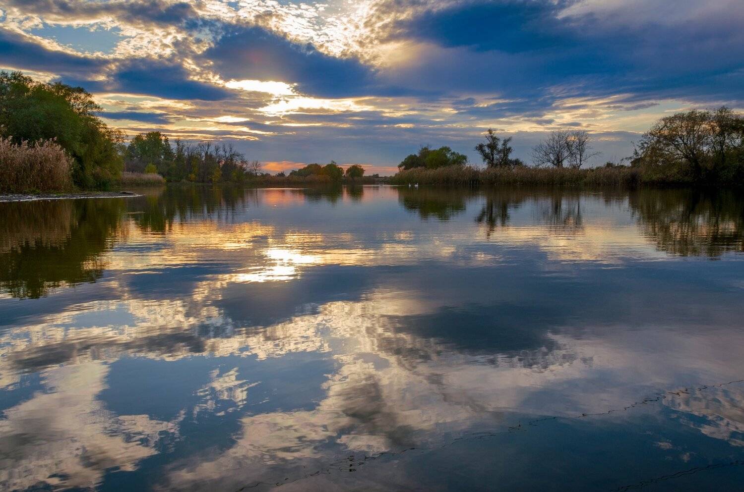 , Алексей Рыльский