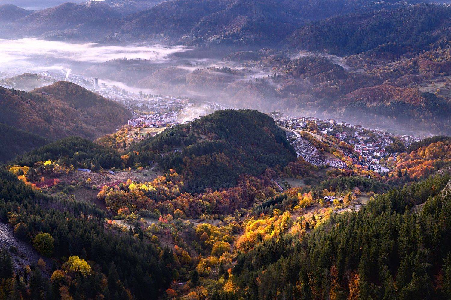 , Albena Andonova-Asa