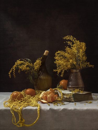 Натюрморт с мандаринами и мимозой