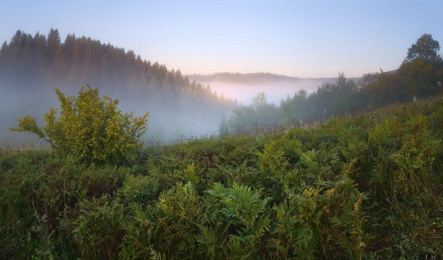утро, туман, Карпаты, долина, лес, папоротник, сказка, рассвет, панорама, пейзаж, путешествие, свет, лето, morning, fog, Carpathians, valley, forest, fern, fairy tale, dawn, panorama, landscape, travel, light, summer, misty, foggy, dawn, Ivan Maljarenko 