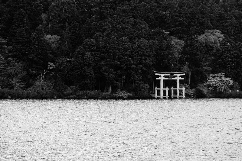 My black and white Hakone фото превью