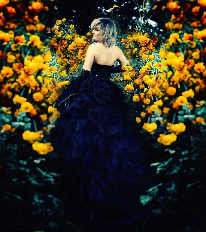 фото превью