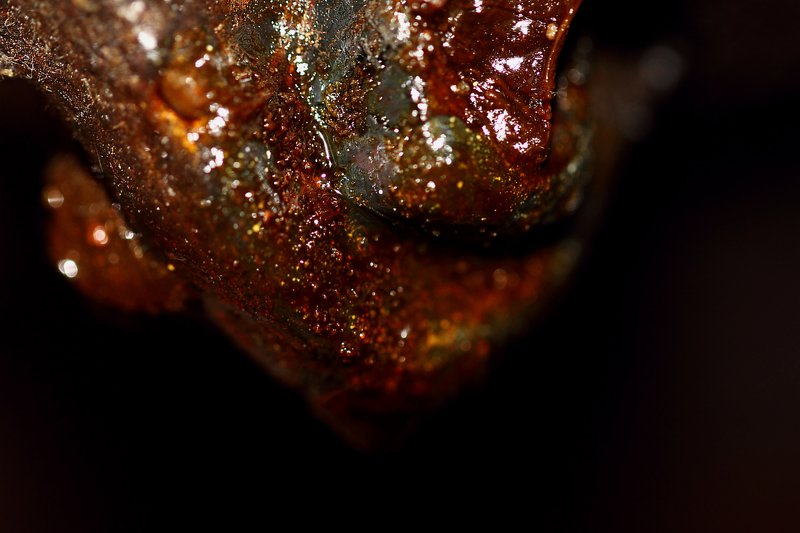 смола, вещество, субстанция, капля, resin, drop, liquid, amorphous, sticky, substance Смола, просто смола... фото превью