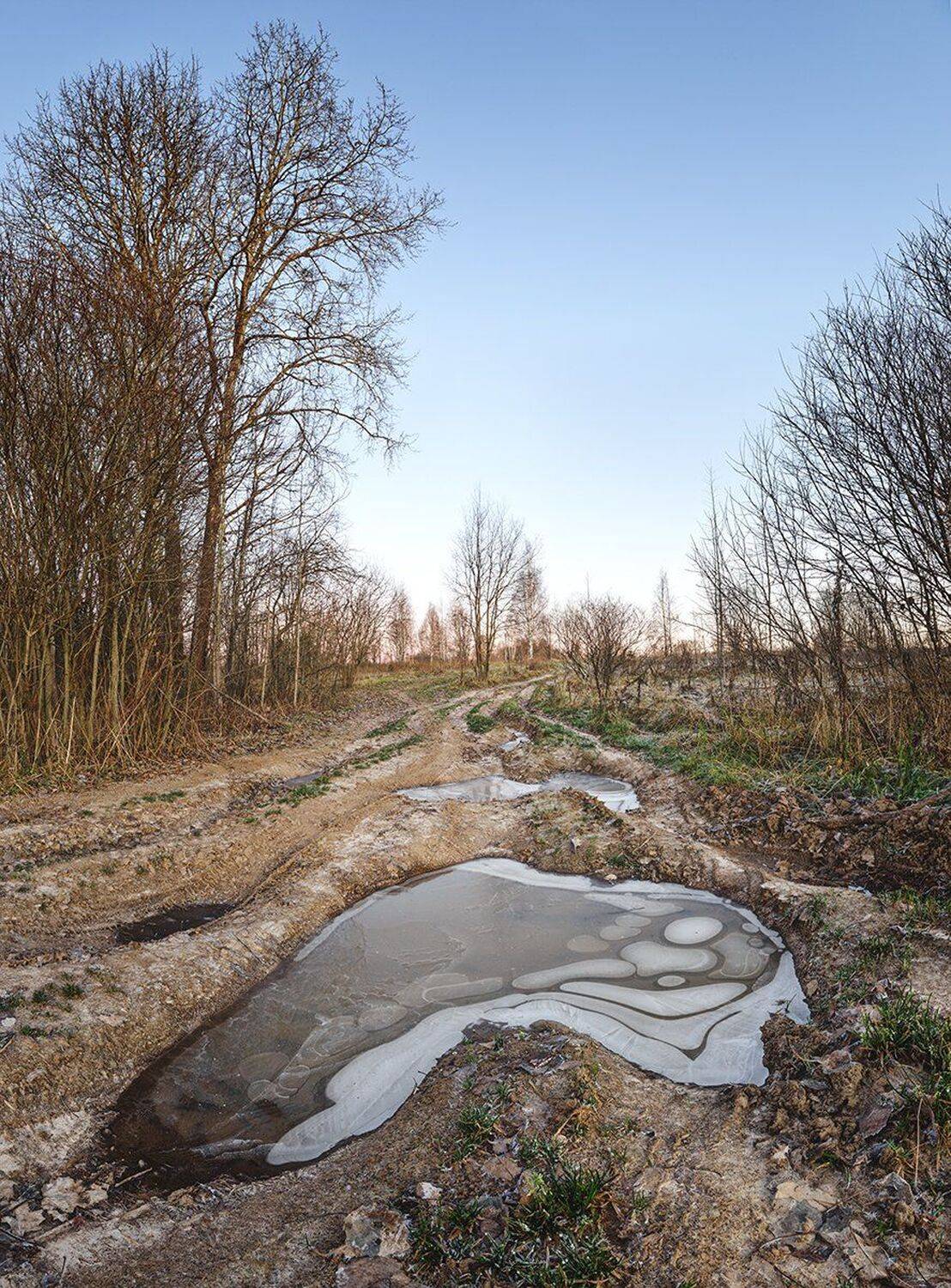 , Николай Андреев