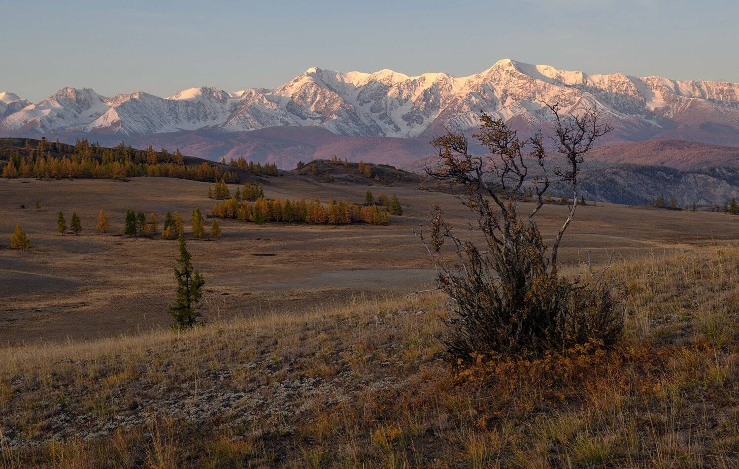 алтай, курайская степь, раннее утро. рассвет.осень., Марина Фомина