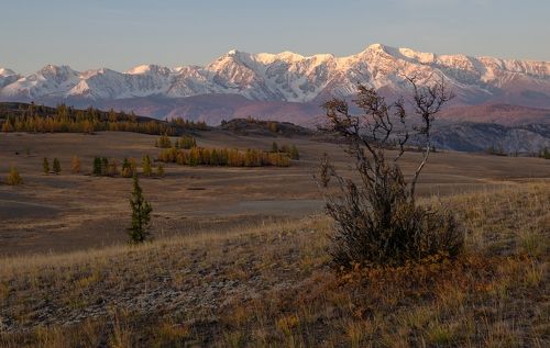 Первые лучи в Курайской степи.
