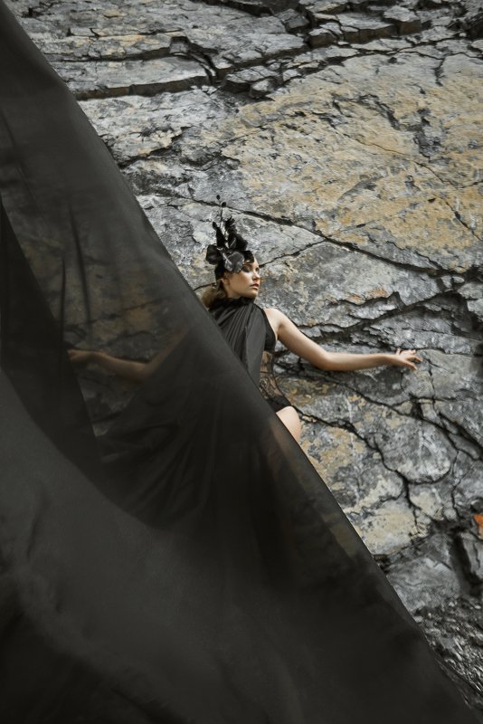 Black Orchid фото превью