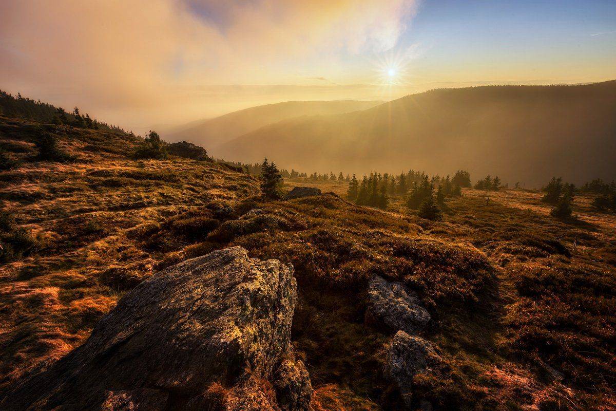 landscape, tree, sunset, panorama, rocks, Petr Fiala
