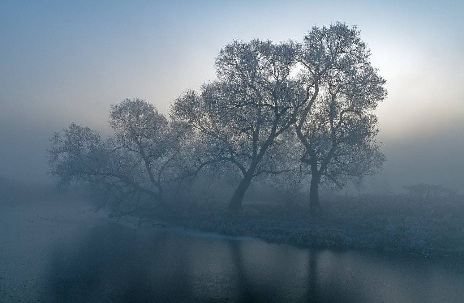 утро, туман, мороз, иней, Александр Гвоздь